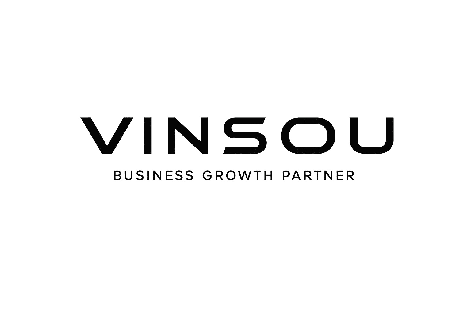 VINSOU - Business Growth Partner